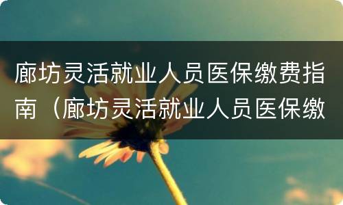 廊坊灵活就业人员医保缴费指南（廊坊灵活就业人员医保缴费指南电话）