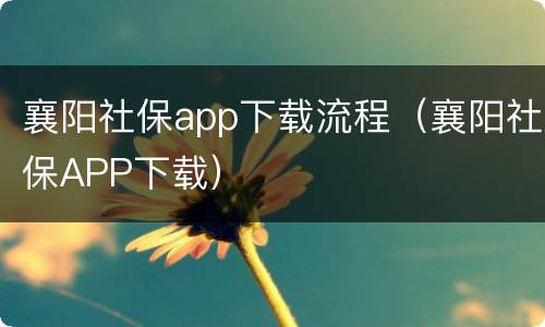 襄阳社保app下载流程（襄阳社保APP下载）