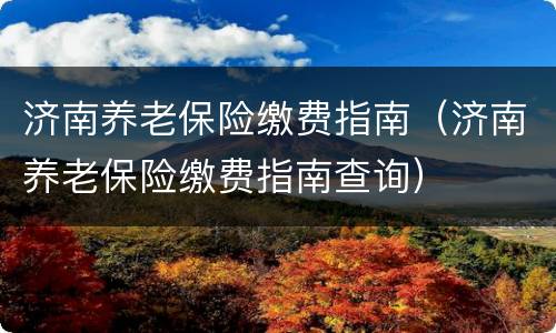济南养老保险缴费指南（济南养老保险缴费指南查询）