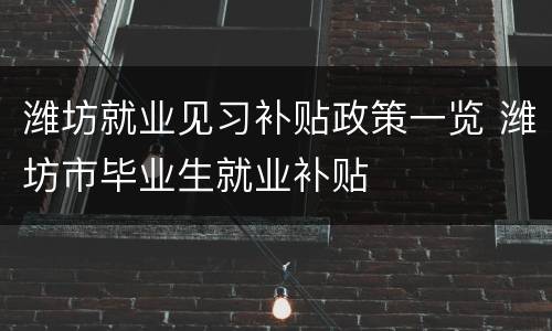 潍坊就业见习补贴政策一览 潍坊市毕业生就业补贴