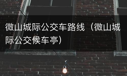 微山城际公交车路线（微山城际公交候车亭）