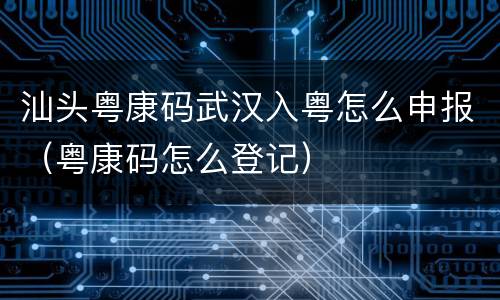 汕头粤康码武汉入粤怎么申报（粤康码怎么登记）