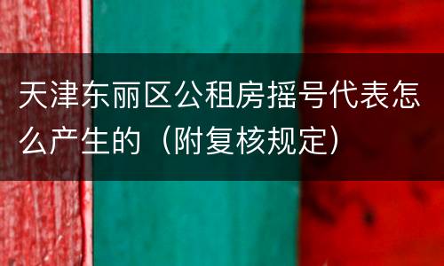 天津东丽区公租房摇号代表怎么产生的（附复核规定）