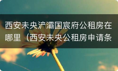 西安未央浐灞国宸府公租房在哪里（西安未央公租房申请条件2020）