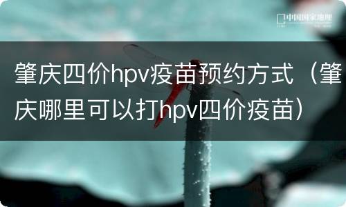 肇庆四价hpv疫苗预约方式（肇庆哪里可以打hpv四价疫苗）