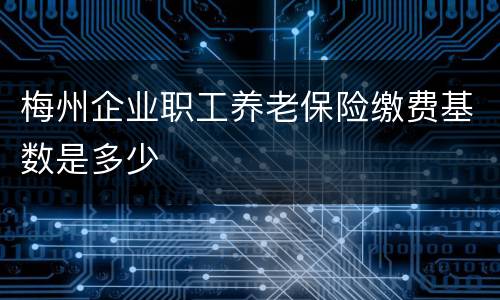 梅州企业职工养老保险缴费基数是多少
