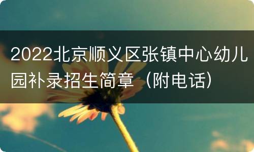 2022北京顺义区张镇中心幼儿园补录招生简章（附电话）