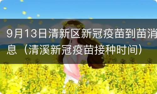 9月13日清新区新冠疫苗到苗消息（清溪新冠疫苗接种时间）