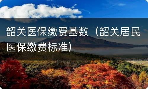 韶关医保缴费基数（韶关居民医保缴费标准）