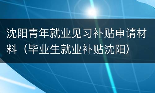 沈阳青年就业见习补贴申请材料（毕业生就业补贴沈阳）