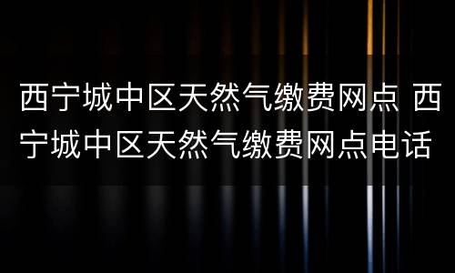 西宁城中区天然气缴费网点 西宁城中区天然气缴费网点电话