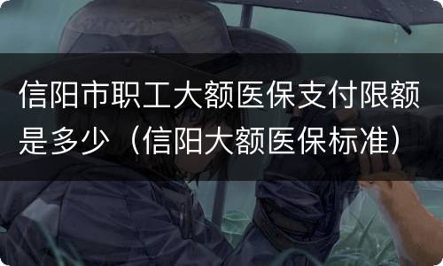 信阳市职工大额医保支付限额是多少（信阳大额医保标准）