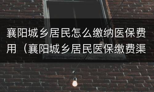襄阳城乡居民怎么缴纳医保费用（襄阳城乡居民医保缴费渠道）