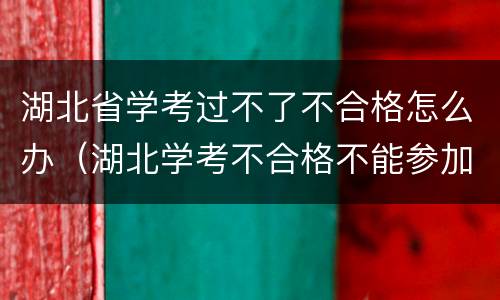湖北省学考过不了不合格怎么办（湖北学考不合格不能参加高考）