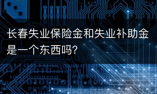 长春失业保险金和失业补助金是一个东西吗？