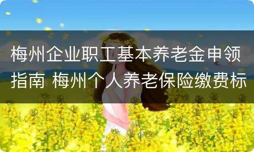 梅州企业职工基本养老金申领指南 梅州个人养老保险缴费标准