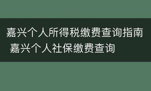 嘉兴个人所得税缴费查询指南 嘉兴个人社保缴费查询