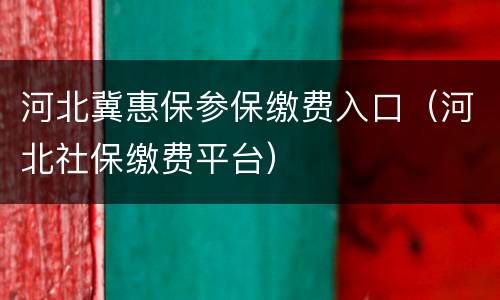 河北冀惠保参保缴费入口（河北社保缴费平台）