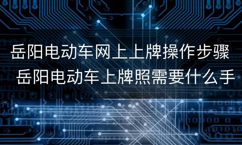 岳阳电动车网上上牌操作步骤 岳阳电动车上牌照需要什么手续