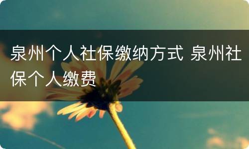 泉州个人社保缴纳方式 泉州社保个人缴费
