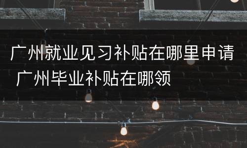 广州就业见习补贴在哪里申请 广州毕业补贴在哪领