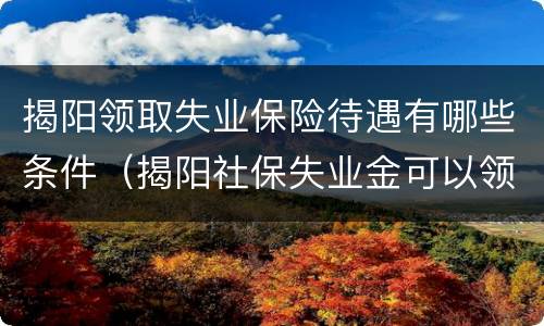 揭阳领取失业保险待遇有哪些条件（揭阳社保失业金可以领多少）