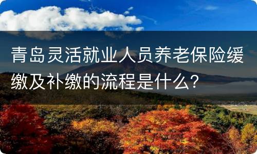 青岛灵活就业人员养老保险缓缴及补缴的流程是什么？