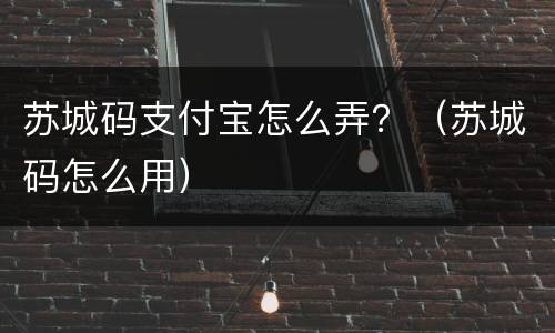 苏城码支付宝怎么弄？（苏城码怎么用）
