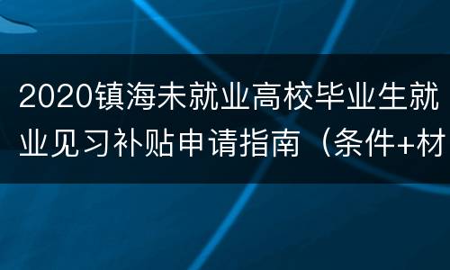 2020镇海未就业高校毕业生就业见习补贴申请指南（条件+材料）
