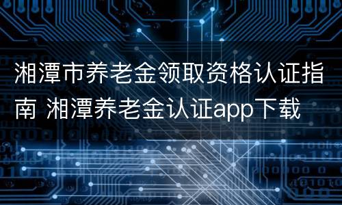 湘潭市养老金领取资格认证指南 湘潭养老金认证app下载