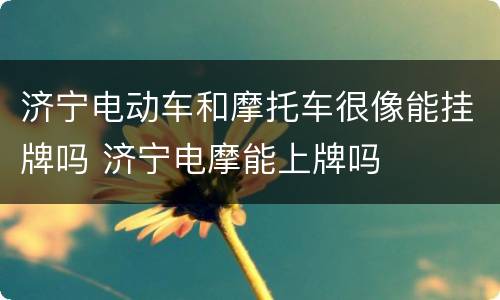 济宁电动车和摩托车很像能挂牌吗 济宁电摩能上牌吗