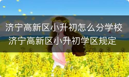 济宁高新区小升初怎么分学校 济宁高新区小升初学区规定