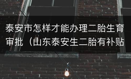 泰安市怎样才能办理二胎生育审批（山东泰安生二胎有补贴吗）