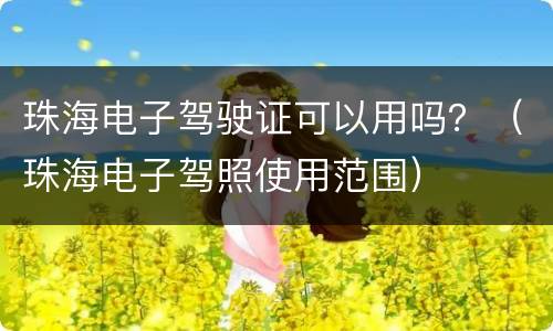 珠海电子驾驶证可以用吗？（珠海电子驾照使用范围）