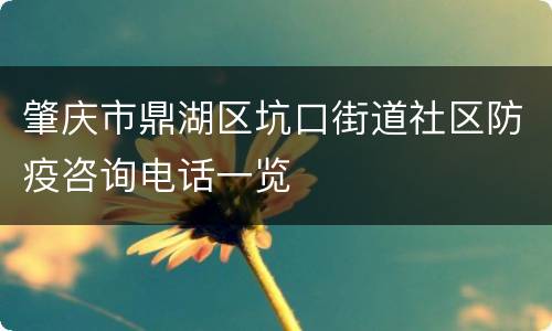 肇庆市鼎湖区坑口街道社区防疫咨询电话一览