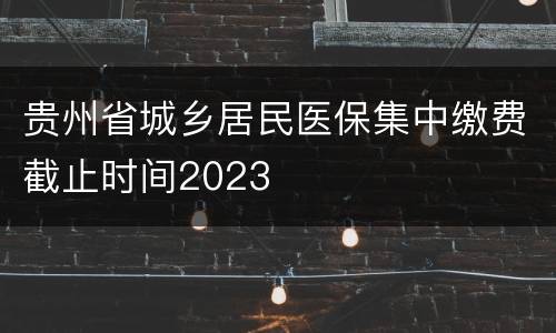 贵州省城乡居民医保集中缴费截止时间2023