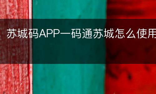 苏城码APP一码通苏城怎么使用