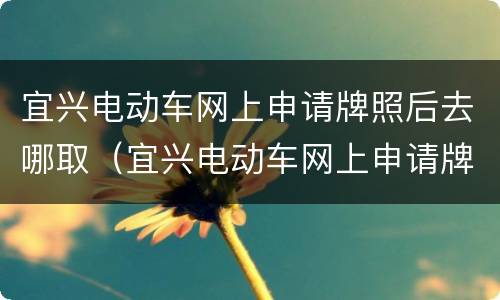 宜兴电动车网上申请牌照后去哪取（宜兴电动车网上申请牌照后去哪取牌子）