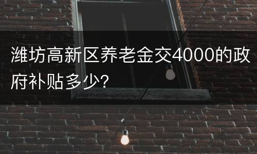 潍坊高新区养老金交4000的政府补贴多少？