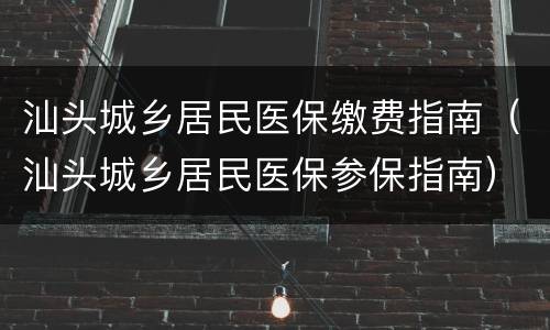 汕头城乡居民医保缴费指南（汕头城乡居民医保参保指南）