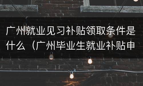 广州就业见习补贴领取条件是什么（广州毕业生就业补贴申请条件）