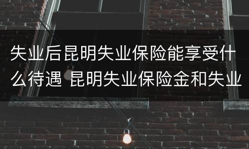 失业后昆明失业保险能享受什么待遇 昆明失业保险金和失业补助金的区别