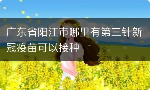 广东省阳江市哪里有第三针新冠疫苗可以接种