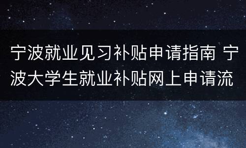 宁波就业见习补贴申请指南 宁波大学生就业补贴网上申请流程