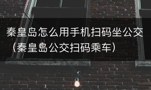 秦皇岛怎么用手机扫码坐公交（秦皇岛公交扫码乘车）