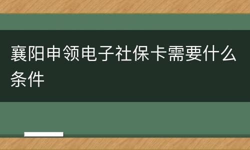 襄阳申领电子社保卡需要什么条件
