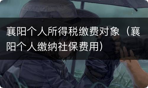襄阳个人所得税缴费对象（襄阳个人缴纳社保费用）