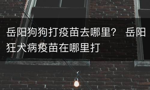 岳阳狗狗打疫苗去哪里？ 岳阳狂犬病疫苗在哪里打