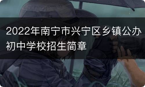 2022年南宁市兴宁区乡镇公办初中学校招生简章