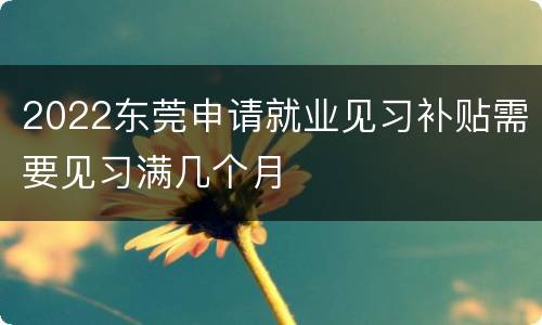 2022东莞申请就业见习补贴需要见习满几个月